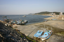 김제는 지금 초록의 바다···청보리밭 여행