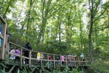 ‘건강을 마시는 길, 가슴이 뻥!’ 강원도 횡성 숲문화 체험장 ‘숲체원’ 
