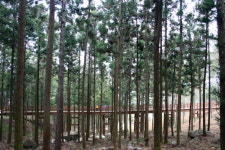 남도 해맞이 1번지···전남 장흥 정남진