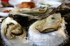 ‘세가지 色’ 봄맞이 한창···전남 광양
