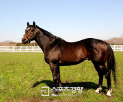 경주마가 농촌경제에 희망을 쏜다