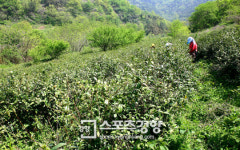 [전남 함평~영광 구수재]하늘 닮은 호수, 바다 닮은 구름··· 꿈길을 걷다