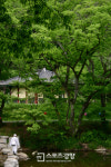 [공주 계룡산]솔~솔 부는 솔바람 쌓인 시름 날리고···