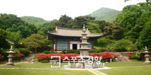 [공주 계룡산]솔~솔 부는 솔바람 쌓인 시름 날리고···