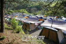 [오토캠핑 전성시대]‘야생의 즐거움’···자연을 벗삼아 별헤는 밤