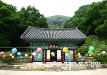 [전북 순창 ‘예향천리’ 마실길]섬진강 따라 빛나는 숲길 나를 만나다