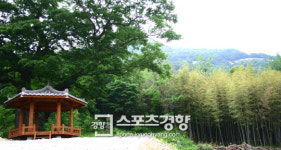 [전북 순창 ‘예향천리’ 마실길]섬진강 따라 빛나는 숲길 나를 만나다