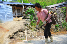 [전북 순창 ‘예향천리’ 마실길]섬진강 따라 빛나는 숲길 나를 만나다