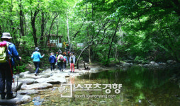 [‘천상의 화원’곰배령]하늘 가린 숲, 숨 넘어갈 무렵 하늘이 열렸다