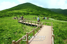 [‘천상의 화원’곰배령]하늘 가린 숲, 숨 넘어갈 무렵 하늘이 열렸다