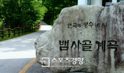 [전북 남원 와운마을&뱀사골]쉬어가는 구름에 몸을 기대고 500살 천년송에 마음을 터놓다