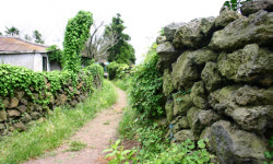 [가장 아름다운 마을 선정-제주 ‘저지마을’]외모보다 속살 아름다운 명품 숲길을 걷다