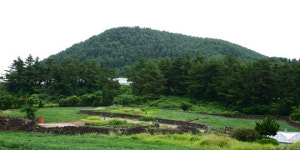 [가장 아름다운 마을 선정-제주 ‘저지마을’]외모보다 속살 아름다운 명품 숲길을 걷다