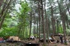 [강원도 ‘횡성 호수길’]익어가는 가을 따라갈까