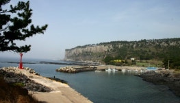 [‘제주 올레길’]환상 삼중주, 가을 선율로 옵서예~