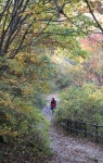 [포암산 하늘재~만수계곡 코스]2천살 고갯길···세월만큼 사연도 많구나