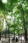 [서울 속살 탐방]서울숲·시민의 숲