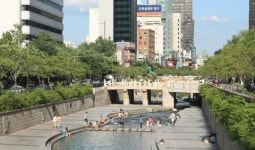 [서울 속살 탐방]서울의 개천 ‘양재천&청계천’