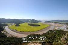 [전남 영광 법성포]‘천고굴비’의 계절…포구에 들어서니 입맛도 설렌다