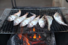 겨울 바다의 맛, 도루묵이 돌아왔다