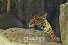 [트래블&힐링-그곳에 가면…]한화호텔 & 리조트 ‘아쿠아플라넷 일산’