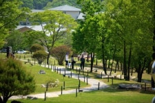 [트래블&힐링-그곳에 가면…]오크밸리 마운틴 파크 & 교회 &뮤지엄 산