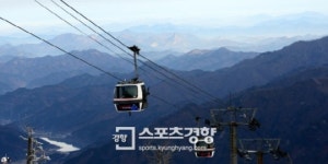 대구 앞산 케이블카, 급발진 사고로 승객 10명 부상