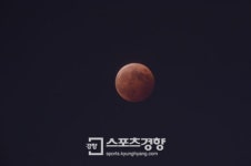 절정의 개기월식 사진으로 보니…