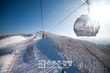 하이원리조트, 콘도 투숙객에 스키 리프트권 증정