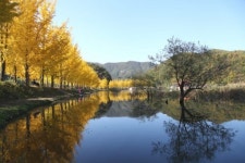 충북 괴산 문광저수지 쌍곡계곡 수옥폭포… 물 만난 단풍, 물오른 가을
