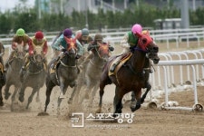 국군복지단 서울지원본부 168-4 | ‘키 168㎝·체중 49㎏ 이하만 지원 하세요’