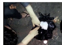 음식물 쓰레기통에 버려졌던 강아지 ‘시월이’ 근황 공개