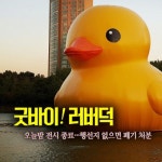 [스포츠경향 반짝뉴스 11.14 - 오후판] 수능 ‘감동의 흔적’