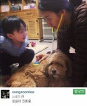 이상순-이효리 부부 근황, “순심이 진료 중” 제주도의 생활 공개해