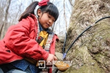 한화리조트, 지리산 고로쇠 약수&패키지 판매