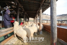 걸어보세, 맘의 여유… 강원 강릉 ‘운유길’