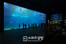 아쿠아플라넷 제주, 페이스북 이벤트 통해 무료입장권 증정