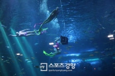 아쿠아플라넷 제주, 수중공연 ‘해녀의 아침’ ‘아쿠아 매직쇼’ 개편