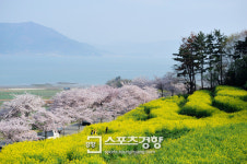 한국관광공사 추천 4월에 가볼 만한 곳 6선