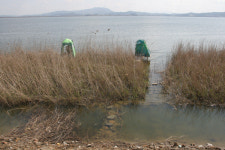 정주영 회장이 만든 서산농장의 부남호, 국내최대 월척 산지로 성장