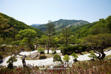 곤지암 화담숲, 250여 명품 분재 감상 ‘분재원 야외전시관’ 오픈