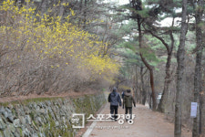 한국관광공사 선정, 5월의 추천 걷기여행길 10선
