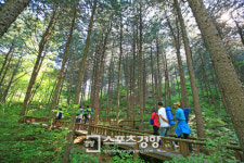 한국관광공사 추천 6월에 가볼 만한 곳 6선