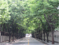 그곳에 가면…무더위 피할 수 있는 ‘서울 여름 녹음길 200선’