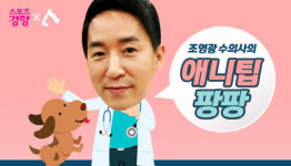 [알림] 반려동물·피트니스·性…세가지 즐거움이 더해집니다