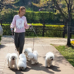 서효림, 반려견이 무려 6마리…남다른 ‘개엄마’