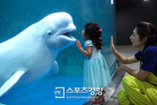 아쿠아플라넷 일산-여수, 여름방학 맞이 신규 시설&이색 이벤트 마련