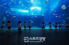 아쿠아플라넷 여수, 가을맞이 할인&신규 이벤트 진행
