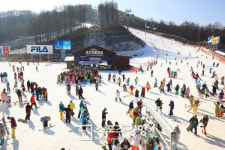 하이원리조트, 31일까지 16/17시즌 스키패스권 2차 판매