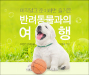 반려동물 1천만 시대, ‘펫맘족’ 여행 상품 쏟아져
